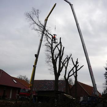 Ingo Matthies Kranservice & Dienstleistungen