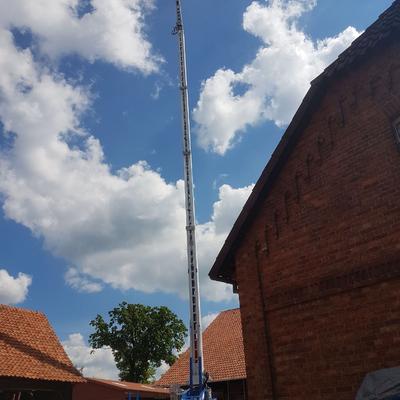 Der Nachwuchs auf dem Weg nach oben
